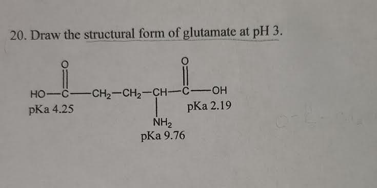 20. Draw the structural form of glutamate at pH 3.
HO-C-CH2-CH2-CH-C-OH
pKa 4.25
pKa 2.19
NH2
pKa 9.76
