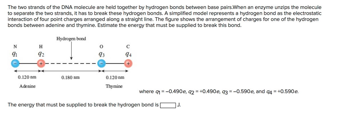 The two strands of the DNA molecule are held together by hydrogen bonds between base pairs.When an enzyme unzips the molecule
to separate the two strands, it has to break these hydrogen bonds. A simplified model represents a hydrogen bond as the electrostatic
interaction of four point charges arranged along a straight line. The figure shows the arrangement of charges for one of the hydrogen
bonds between adenine and thymine. Estimate the energy that must be supplied to break this bond.
Hydrogen bond
N
H
C
92
93
94
0.120 nm
0.180 nm
0.120 nm
Adenine
Thymine
where q1 = -0.490e, q2 = +0.490e, q3 = -0.590e, and q4 = +0.590e.
The energy that must be supplied to break the hydrogen bond is
J.
