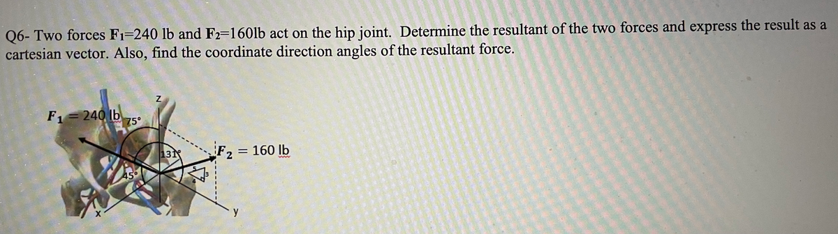 Q6- Two forces F1=240 lb and F2=160lb act on the hip joint. Determine the resultant of the two forces and express the result as a
cartesian vector. Also, find the coordinate direction angles of the resultant force.
Z
F1= 240 lb
75°
131
F2 = 160 lb
ww
45°
y
