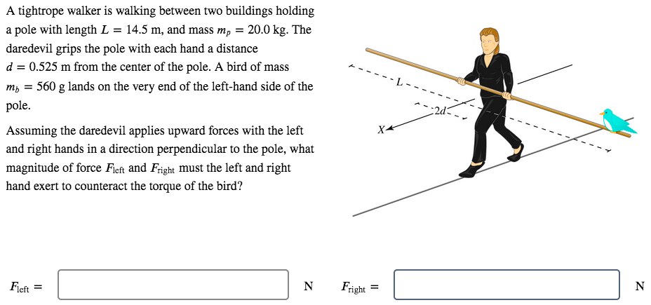 A tightrope walker is walking between two buildings holding
a pole with length L = 14.5 m, and mass m, = 20.0 kg. The
daredevil grips the pole with each hand a distance
d = 0.525 m from the center of the pole. A bird of mass
m, = 560 g lands on the very end of the left-hand side of the
2d
pole.
Assuming the daredevil applies upward forces with the left
and right hands in a direction perpendicular to the pole, what
magnitude of force Fieft and Fright must the left and right
hand exert to counteract the torque of the bird?
N
Fright
Fjeft
=

