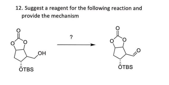 12. Suggest a reagent for the following reaction and
provide the mechanism
?
OH
ÖTBS
ÕTBS
