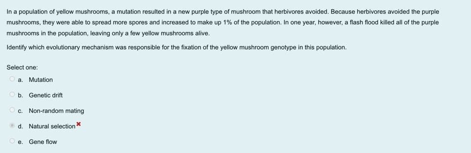In a population of yellow mushrooms, a mutation resulted in a new purple type of mushroom that herbivores avoided. Because herbivores avoided the purple
mushrooms, they were able to spread more spores and increased to make up 1% of the population. In one year, however, flash flood killed all of the purple
mushrooms in the population, leaving only a few yellow mushrooms alive.
Identify which evolutionary mechanism was responsible for the fixation of the yellow mushroom genotype in this population.
Select one:
a. Mutation
b. Genetic drift
c. Non-random mating
Ⓒd. Natural selection *
Gene flow
e.
