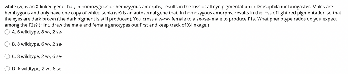 white (w) is an X-linked gene that, in homozygous or hemizygous amorphs, results in the loss of all eye pigmentation in Drosophila melanogaster. Males are
hemizygous and only have one copy of white. sepia (se) is an autosomal gene that, in homozygous amorphs, results in the loss of light red pigmentation so that
the eyes are dark brown (the dark pigment is still produced). You cross a w-/w- female to a se-/se- male to produce F1s. What phenotype ratios do you expect
among the F2s? (Hint, draw the male and female genotypes out first and keep track of X-linkage.)
OA. 6 wildtype, 8 w-, 2 se-
B. 8 wildtype, 6 w-, 2 se-
C. 8 wildtype, 2 w-, 6 se-
D. 6 wildtype, 2 w-, 8 se-