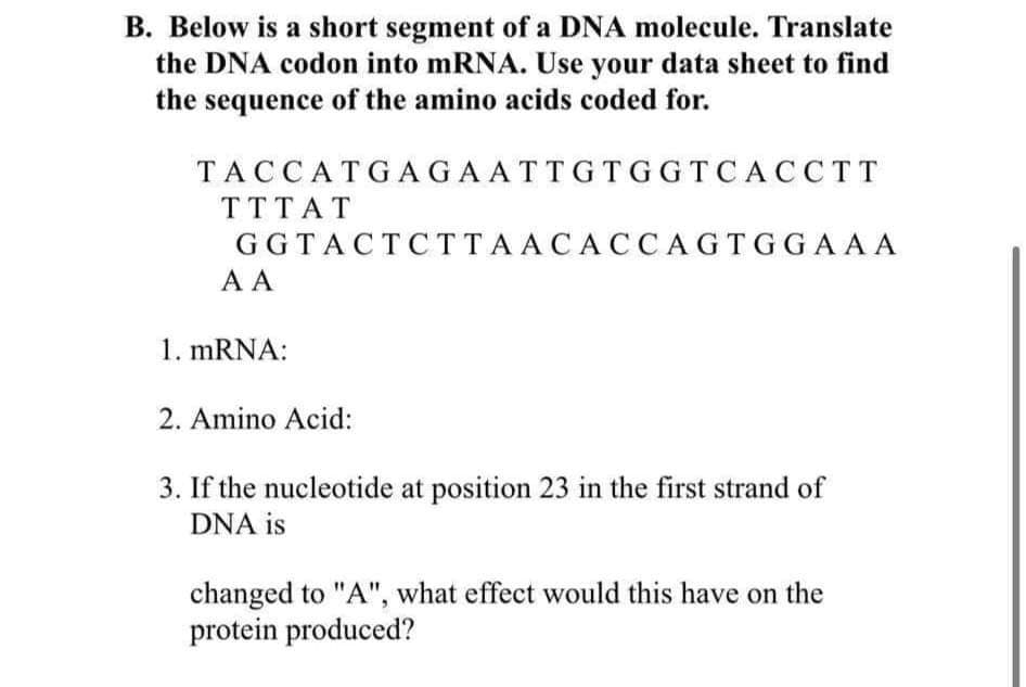 B. Below is a short segment of a DNA molecule. Translate
the DNA codon into mRNA. Use your data sheet to find
the sequence of the amino acids coded for.
TACCATGAGAATTGTGGTCACCTT
ΤΤΤΑΤ
GGTACTCTTAACACCAGTGGAAA
A A
1. mRNA:
2. Amino Acid:
3. If the nucleotide at position 23 in the first strand of
DNA is
changed to "A", what effect would this have on the
protein produced?