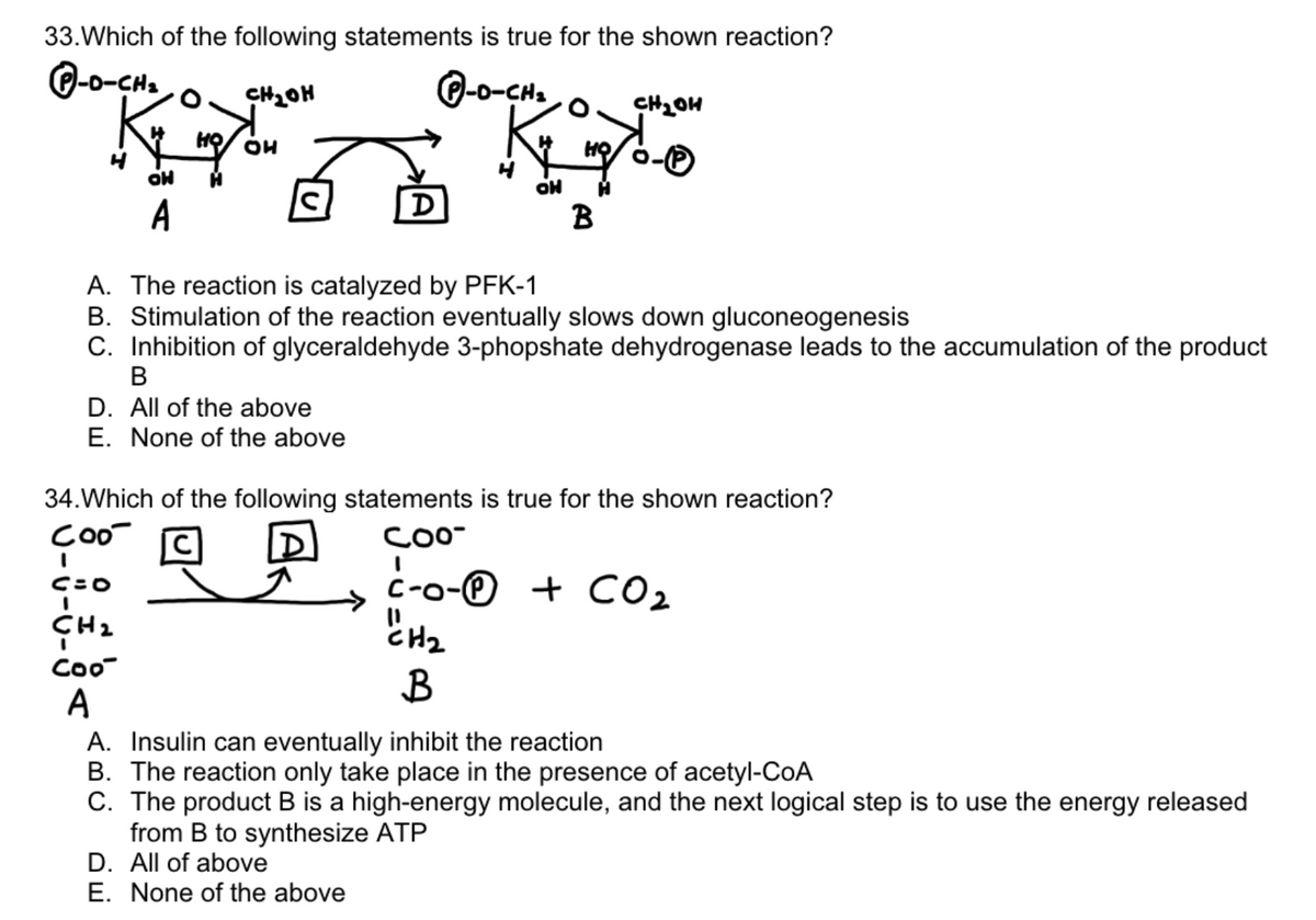 33. Which of the following statements is true for the shown reaction?
P-O-CH₂
P-O-CH₂
OH
A
Coo
I
C=O
HOTHS
CH₂
Coo
A
HỌ он
D
A. The reaction is catalyzed by PFK-1
B. Stimulation of the reaction eventually slows down gluconeogenesis
C. Inhibition of glyceraldehyde 3-phopshate dehydrogenase leads to the accumulation of the product
B
D. All of the above
E. None of the above
OH
34. Which of the following statements is true for the shown reaction?
COO™
CH₂OH
HQ -℗
B
CH₂
B
C-o-℗ + CO₂
A. Insulin can eventually inhibit the reaction
B. The reaction only take place in the presence of acetyl-CoA
C. The product B is a high-energy molecule, and the next logical step is to use the energy released
from B to synthesize ATP
D. All of above
E. None of the above