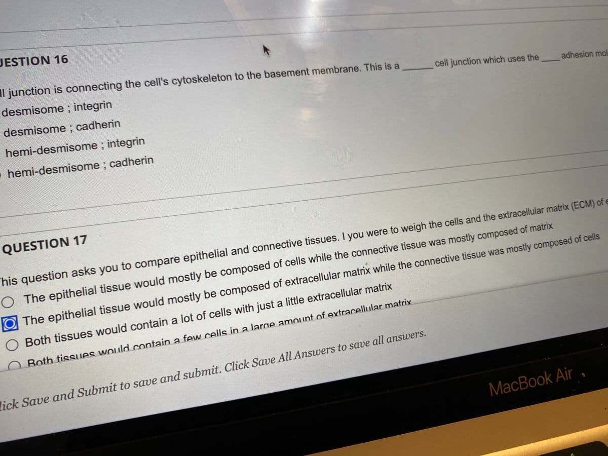 JESTION 16
Il junction is connecting the cell's cytoskeleton to the basement membrane. This is a
desmisome; integrin
desmisome ; cadherin
hemi-desmisome; integrin
› hemi-desmisome ; cadherin
QUESTION 17
cell junction which uses the
lick Save and Submit to save and submit. Click Save All Answers to save all answers.
adhesion mol
This question asks you to compare epithelial and connective tissues. I you were to weigh the cells and the extracellular matrix (ECM) of e
O The epithelial tissue would mostly be composed of cells while the connective tissue was mostly composed of matrix
The epithelial tissue would mostly be composed of extracellular matrix while the connective tissue was mostly composed of cells
O Both tissues would contain a lot of cells with just a little extracellular matrix
O Both tissues would contain a few cells in a large amount of extracellular matrix
MacBook Air
