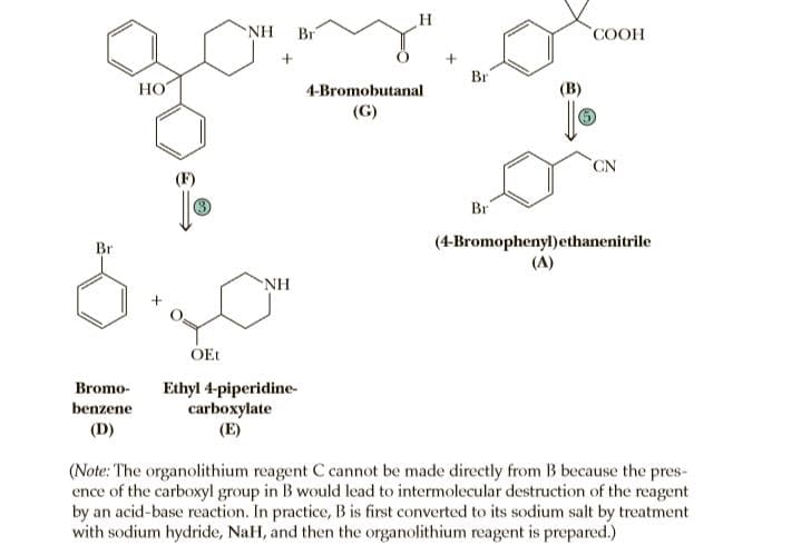NH
Br
COOH
Br
HO
4-Bromobutanal
(В)
(G)
CN
(F)
Br
(4-Bromophenyl)ethanenitrile
(A)
Br
NH
OEt
Bromo-
Ethyl 4-piperidine-
carboxylate
(E)
benzene
(D)
(Note: The organolithium reagent C cannot be made directly from B because the pres-
ence of the carboxyl group in B would lead to intermolecular destruction of the reagent
by an acid-base reaction. In practice, B is first converted to its sodium salt by treatment
with sodium hydride, NaH, and then the organolithium reagent is prepared.)
