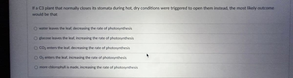 If a C3 plant that normally closes its stomata during hot, dry conditions were triggered to open them instead, the most likely outcome
would be that
O water leaves the leaf, decreasing the rate of photosynthesis
O glucose leaves the leaf, increasing the rate of photosynthesis
O CO₂ enters the leaf, decreasing the rate of photosynthesis
O O₂ enters the leaf, increasing the rate of photosynthesis
more chlorophyll is made, increasing the rate of photosynthesis