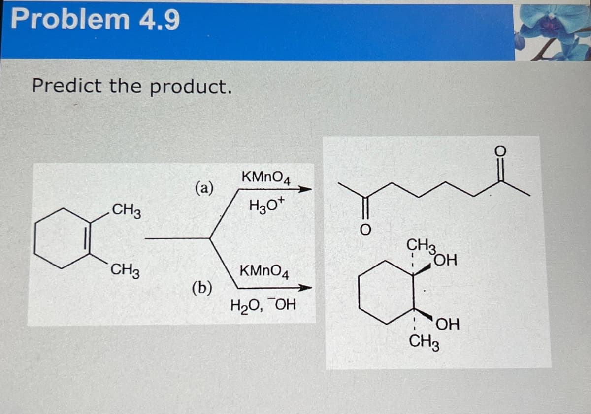 Problem 4.9
Predict the product.
CH3
x
CH3
(a)
(b)
KMnO4
H3O+
KMnO4
H₂O, OH
OH
OH
CH3