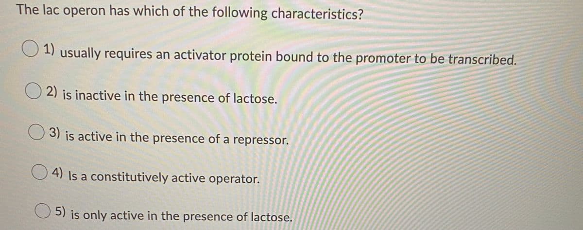 The lac operon has which of the following characteristics?
O 1) usually requires an activator protein bound to the promoter to be transcribed.
O 2) is inactive in the presence of lactose.
O 3) is active in the presence of a repressor.
O 4) Is a constitutively active operator.
O5) is only active in the presence of lactose.
