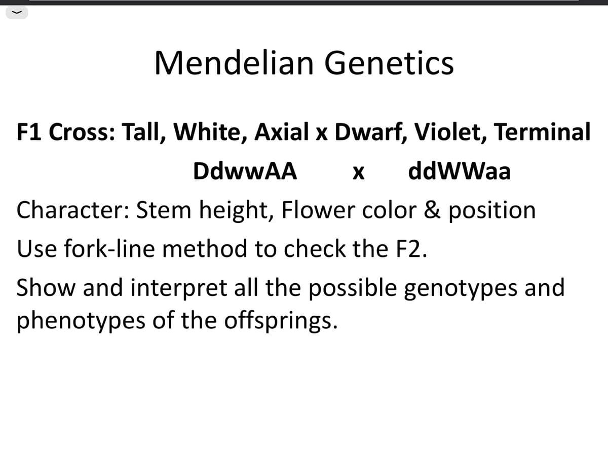 Mendelian Genetics
F1 Cross: Tall, White, Axial x Dwarf, Violet, Terminal
DdwwAA
X
ddWWaa
Character: Stem height, Flower color & position
Use fork-line method to check the F2.
Show and interpret all the possible genotypes and
phenotypes of the offsprings.
