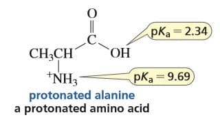 pKa= 2.34
CH3CH
НО.
pKa 9.69)
*NH3
protonated alanine
a protonated amino acid
%3D
