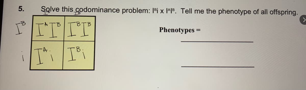 5.
Solve this codominance problem: I'i x I^IP. Tell me the phenotype of all offspring.
-B
ITIT
4.
B.
B
Phenotypes
