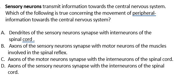 Sensory neurons transmit information towards the central nervous system.
Which of the following is true concerning the movement of peripheral-
information towards the central nervous system?
A. Dendrites of the sensory neurons synapse with interneurons of the
spinal cord.
B. Axons of the sensory neurons synapse with motor neurons of the muscles
involved in the spinal reflex.
C. Axons of the motor neurons synapse with the interneurons of the spinal cord.
D. Axons of the sensory neurons synapse with the interneurons of the spinal
cord.
