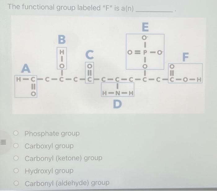 The functional group labeled "F" is a(n)
A
B
C1O
HIO
O
CO=O
E
O
O PIO
HINIH
D
Phosphate group
O Carboxyl group
O Carbonyl (ketone) group
O Hydroxyl group
O Carbonyl (aldehyde) group
-0.
O
O
310
HIC-C-C-c-c-c-C-C-C-CICIOIH
F