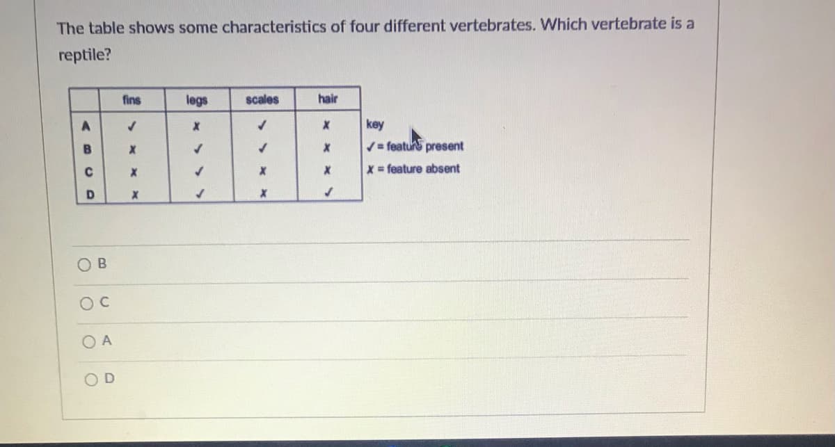 The table shows some characteristics of four different vertebrates. Which vertebrate is a
reptile?
fins
legs
scales
hair
key
/= featur present
x feature absent
O A
O D
