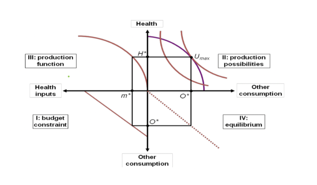 Health
III: production
II: production
possibilities
Umax
function
Health
Other
inputs
consumption
1: budget
constraint
IV:
equilibrium
Other
consumption
