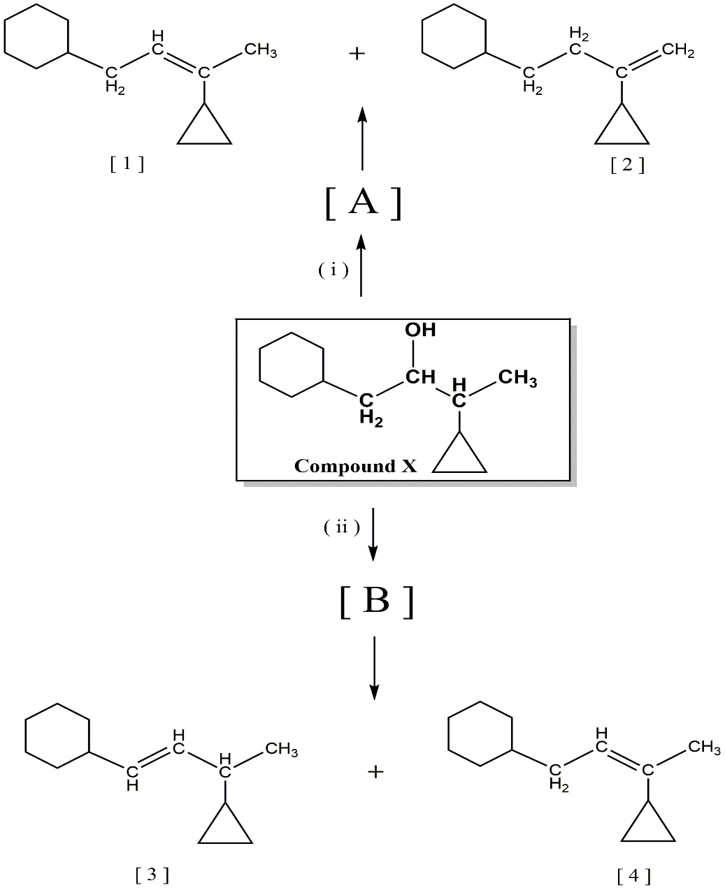 H2
.C
CH2
CH3
+
H2
[2]
[1]
[ A]
OH
.CH
.CH3
H2
Compound X
( ii )
[B]
C
.CH3
CH3
+
[4]
[3 ]
fo
