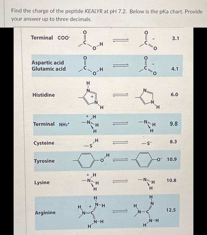 Find the charge of the peptide KEALYR at pH 7.2. Below is the pka chart. Provide
your answer up to three decimals.
Terminal COO
Aspartic acid
Glutamic acid
Histidine
Terminal NH3*
Cysteine
Tyrosine
Lysine
Arginine
i
H
-N
H
+ H
0-H
S
-N
H
H
H
+ H
H
+
N=C
H
H
H
H
0-4
N-H
N-H
H
I
C
-N
-
-N
<-5
=0
H
-
MEE
N-C
H
H
H
H
3.1
N-H
4.1
6.0
9.8
8.3
-0 10.9
10.8
12.5