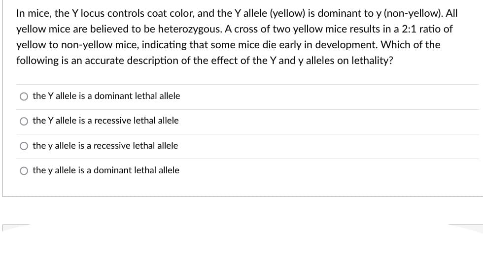 In mice, the Y locus controls coat color, and the Y allele (yellow) is dominant to y (non-yellow). All
yellow mice are believed to be heterozygous. A cross of two yellow mice results in a 2:1 ratio of
yellow to non-yellow mice, indicating that some mice die early in development. Which of the
following is an accurate description of the effect of the Y and y alleles on lethality?
the Y allele is a dominant lethal allele
the Y allele is a recessive lethal allele
the y allele is a recessive lethal allele
O the y allele is a dominant lethal allele
O
O
