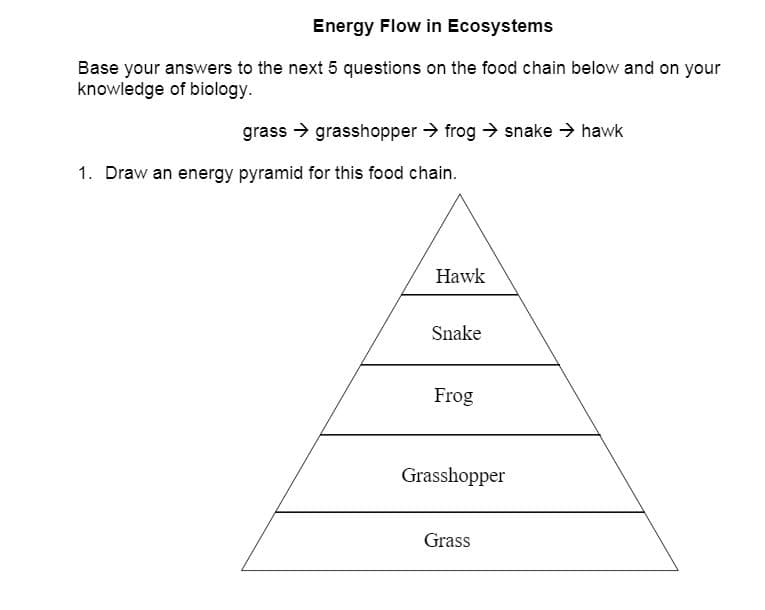 Energy Flow in Ecosystems
Base your answers to the next 5 questions on the food chain below and on your
knowledge of biology.
grass → grasshopper frog snake > hawk
1. Draw an energy pyramid for this food chain.
Hawk
Snake
Frog
Grasshopper
Grass
