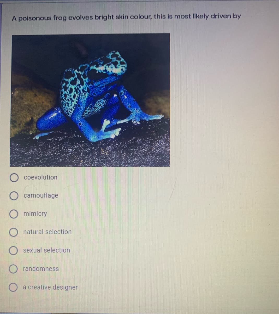 A poisonous frog evolves bright skin colour, this is most likely driven by
coevolution
camouflage
O mimicry
natural selection
sexual selection
O randomness
a creative designer.
