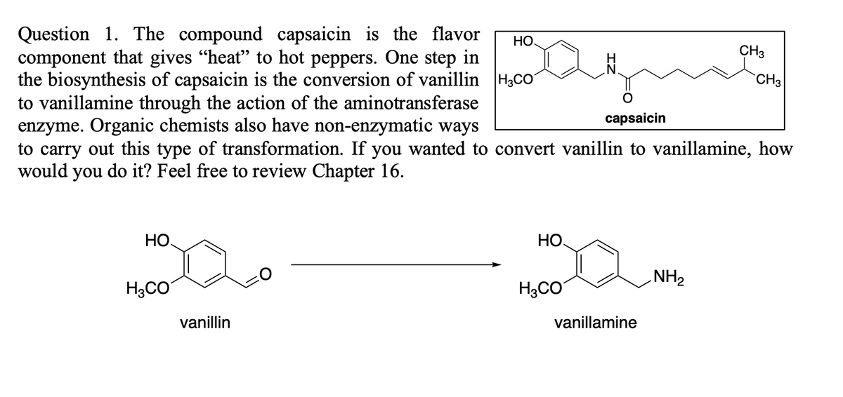 Question 1. The compound capsaicin is the flavor
component that gives "heat" to hot peppers. One step in
the biosynthesis of capsaicin is the conversion of vanillin H3CO
to vanillamine through the action of the aminotransferase
enzyme. Organic chemists also have non-enzymatic ways
to carry out this type of transformation. If you wanted to convert vanillin to vanillamine, how
would you do it? Feel free to review Chapter 16.
но
CH3
CH3
capsaicin
НО.
HO,
NH2
H,CO
H3CO
vanillin
vanillamine
