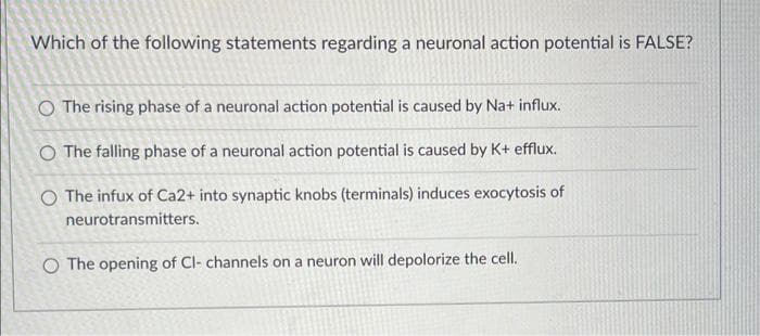 Which of the following statements regarding a neuronal action potential is FALSE?
O The rising phase of a neuronal action potential is caused by Na+ influx.
O The falling phase of a neuronal action potential is caused by K+ efflux.
O The infux of Ca2+ into synaptic knobs (terminals) induces exocytosis of
neurotransmitters.
O The opening of Cl- channels on a neuron will depolorize the cell.