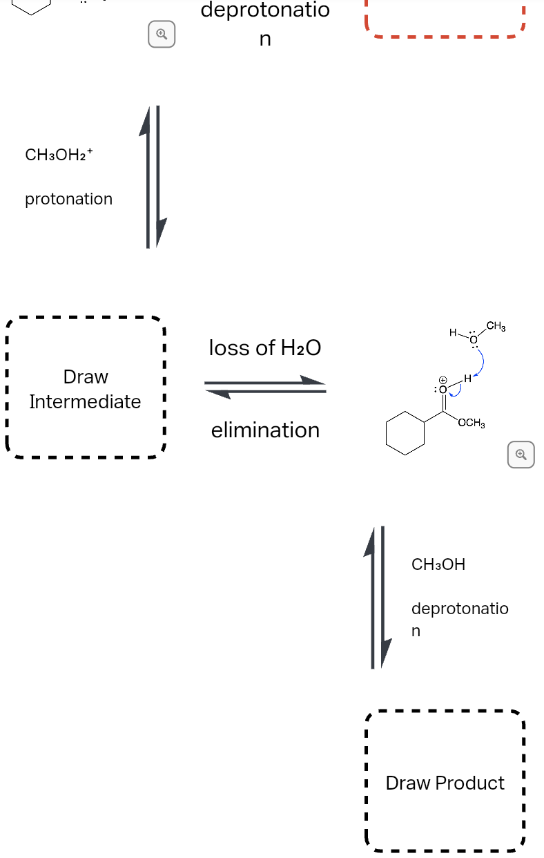 deprotonatio
-1
CH3OH2*
protonation
CH3
H.
loss of H20
Draw
Intermediate
OCH3
elimination
CH3OH
deprotonatio
n
Draw Product
