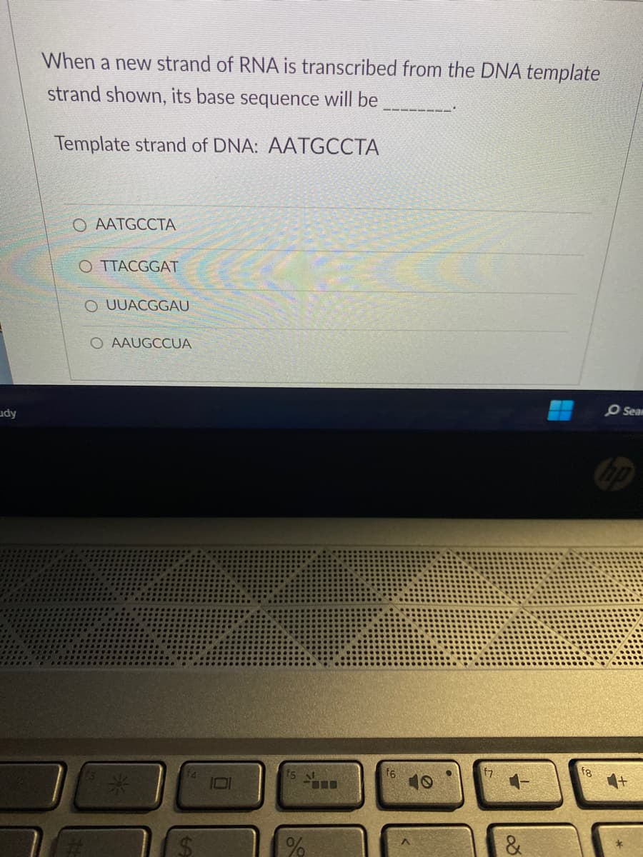 dy
When a new strand of RNA is transcribed from the DNA template
strand shown, its base sequence will be
Template strand of DNA: AATGCCTA
O AATGCCTA
OTTACGGAT
O UUACGGAU
O AAUGCCUA
NA
%
&
18
O Seam
hp
*