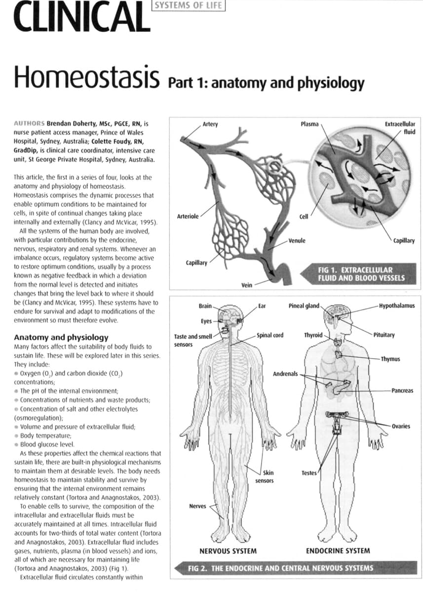 CLINICAL
SYSTEMS OF LIFE
HomeostasiS Part 1: anatomy and physiology
AUTHORS Brendan Doherty, MSc, PGCE, RN, is
Extracellular
fluid
Artery
Plasma
nurse patient access manager, Prince of Wales
Hospital, Sydney, Australia; Colette Foudy, RN,
GradDip, is clinical care coordinator, intensive care
unit, St George Private Hospital, Sydney, Australia.
This article, the first in a series of four, looks at the
anatomy and physiology of homeostasis.
Homeostasis comprises the dynamic processes that
enable optimum conditions to be maintained for
cells, in spite of continual changes taking place
internally and externally (Clancy and McVicar, 1995).
Arteriole
Cell
All the systems of the human body are involved,
with particular contributions by the endocrine,
Venule
capillary
nervous, respiratory and renal systems. Whenever an
imbalance occurs, regulatory systems become active
to restore optimum conditions, usually by a process
known as negative feedback in which a deviation
from the normal level is detected and initiates
Capillary
FIG 1. EXTRACELLULAR
FLUID AND BLOOD VESSELS
Vein
changes that bring the level back to where it should
be (Clancy and McVicar, 1995). These systems have to
endure for survival and adapt to modifications of the
Brain
Ear
Pineal gland
-Hypothalamus
environment so must therefore evolve.
Eyes
Taste and smell -
Spinal cord
Thyroid-
- Pituitary
Anatomy and physiology
Many factors affect the suitability of body fluids to
sustain life. These will be explored later in this series.
They include:
• Oxygen (0,) and carbon dioxide (Co,)
sensors
- Thymus
Andrenals
concentrations;
• The pH of the internal environment;
• Concentrations of nutrients and waste products;
• Concentration of salt and other electrolytes
(osmoregulation);
• Volume and pressure of extracellular fluid;
• Body temperature;
• Blood glucose level.
As these properties affect the chemical reactions that
sustain life, there are built-in physiological mechanisms
to maintain them at desirable levels. The body needs
homeostasis to maintain stability and survive by
ensuring that the internal environment remains
relatively constant (Tortora and Anagnostakos, 2003).
To enable cells to survive, the composition of the
Pancreas
Ovaries
Skin
Testes
sensors
Nerves
intracellular and extracellular fluids must be
accurately maintained at all times. Intracellular fluid
accounts for two-thirds of total water content (Tortora
and Anagnostakos, 2003). Extracellular fluid includes
gases, nutrients, plasma (in blood vessels) and ions,
all of which are necessary for maintaining life
(Tortora and Anagnostakos, 2003) (Fig 1).
Extracellular fluid circulates constantly within
NERVOUS SYSTEM
ENDOCRINE SYSTEM
FIG 2. THE ENDOCRINE AND CENTRAL NERVOUS SYSTEMS
