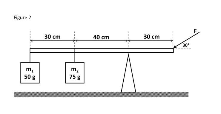 Figure 2
F
30 сm
40 cm
30 cm
30°
m2
50 g
75 g
