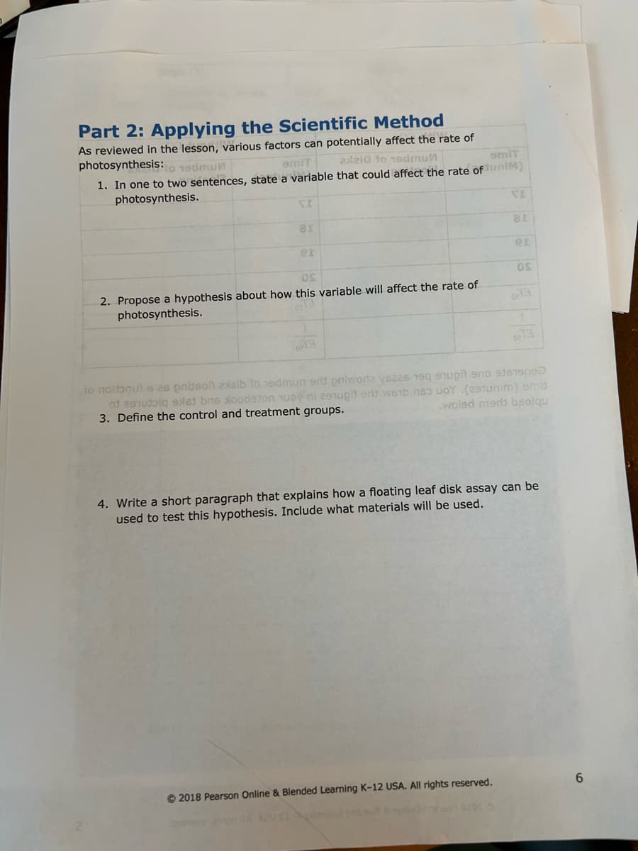 Part 2: Applying the Scientific Method
As reviewed in the lesson, various factors can potentially affect the rate of
photosynthesis: 19
smiT axaid to 1sdmun
smiT
1. In one to two sentences, state a variable that could affect the rate of JuniM)
photosynthesis.
St
81
er
OS
2. Propose a hypothesis about how this variable will affect the rate of
photosynthesis.
VE
81
©2018 Pearson Online & Blended Learning K-12 USA. All rights reserved.
et
OS
0214
0213
to noitonut s as pritson exalb to 19dmun srl pniwoda ys22s 190 to 19
of 291 961 bns loodston muoy ni 291pit or web no voy (291unim) smid
woled merli bsolqu
3. Define the control and treatment groups.
4. Write a short paragraph that explains how a floating leaf disk assay can be
used to test this hypothesis. Include what materials will be used.
6