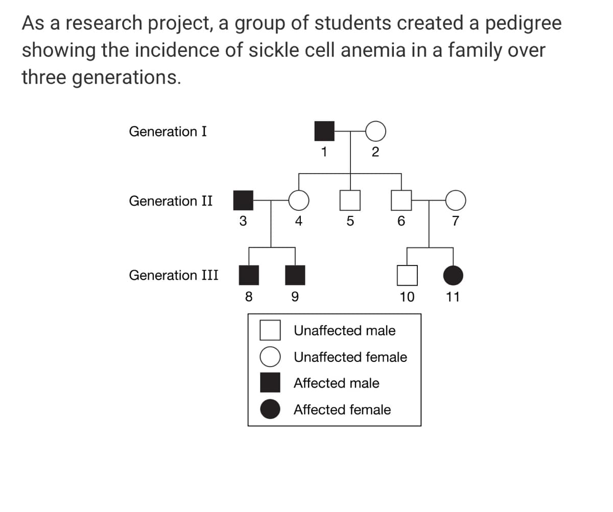 As a research project, a group of students created a pedigree
showing the incidence of sickle cell anemia in a family over
three generations.
Generation I
1
2
Generation II
4
7
Generation III
8 9
10
11
Unaffected male
Unaffected female
Affected male
Affected female
