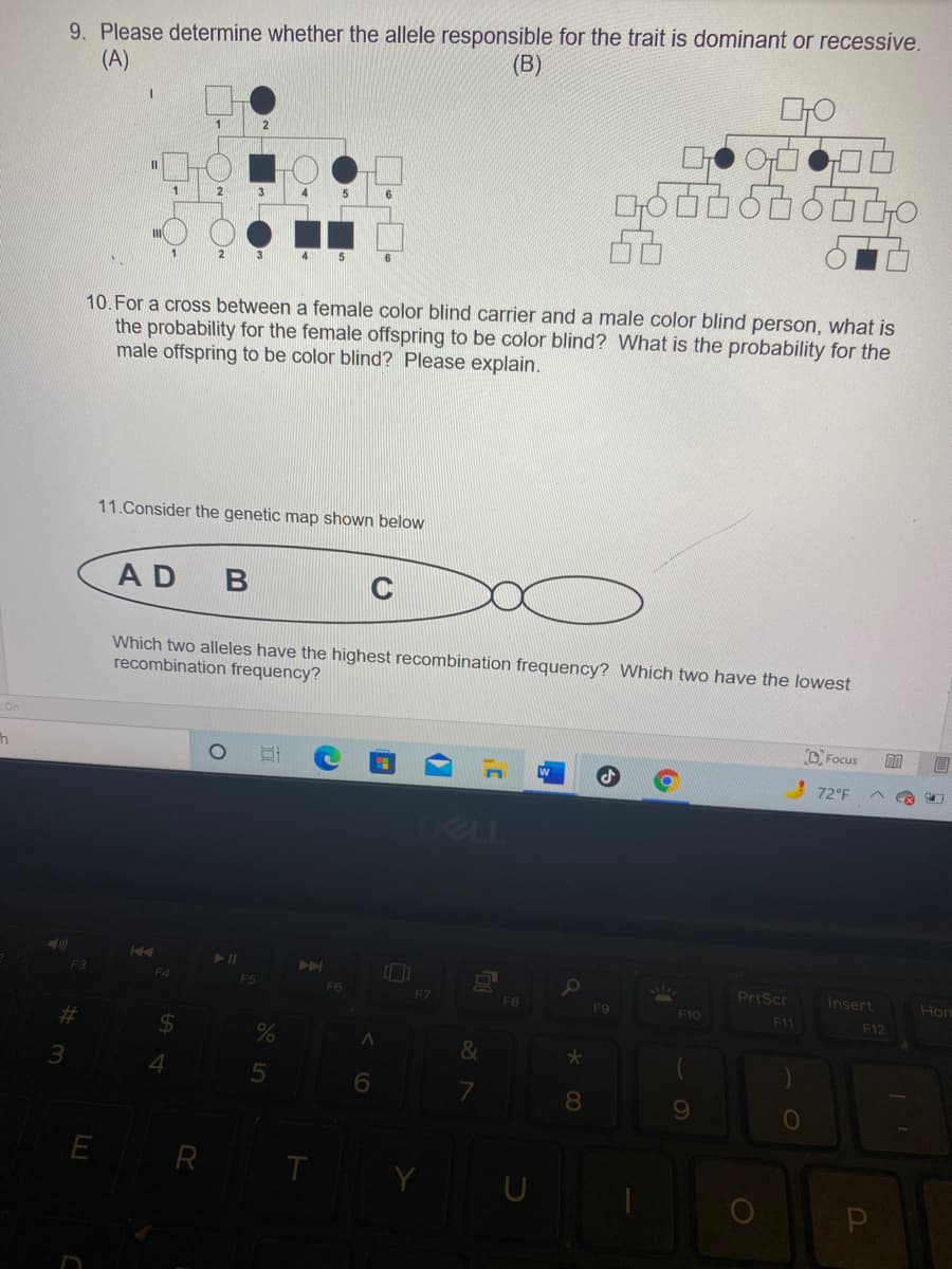 9. Please determine whether the allele responsible for the trait is dominant or recessive.
(A)
(B)
1
2
10.For a cross between a female color blind carrier and a male color blind person, what is
the probability for the female offspring to be color blind? What is the probability for the
male offspring to be color blind? Please explain.
11.Consider the genetic map shown below
AD
Which two alleles have the highest recombination frequency? Which two have the lowest
recombination frequency?
O Focus
! 72°F
DELL
F5
F6
PrtScr
Insert
Hor
FZ
F8
F9
F10
F11
F12
23
%24
3.
4.
8
E
R T

