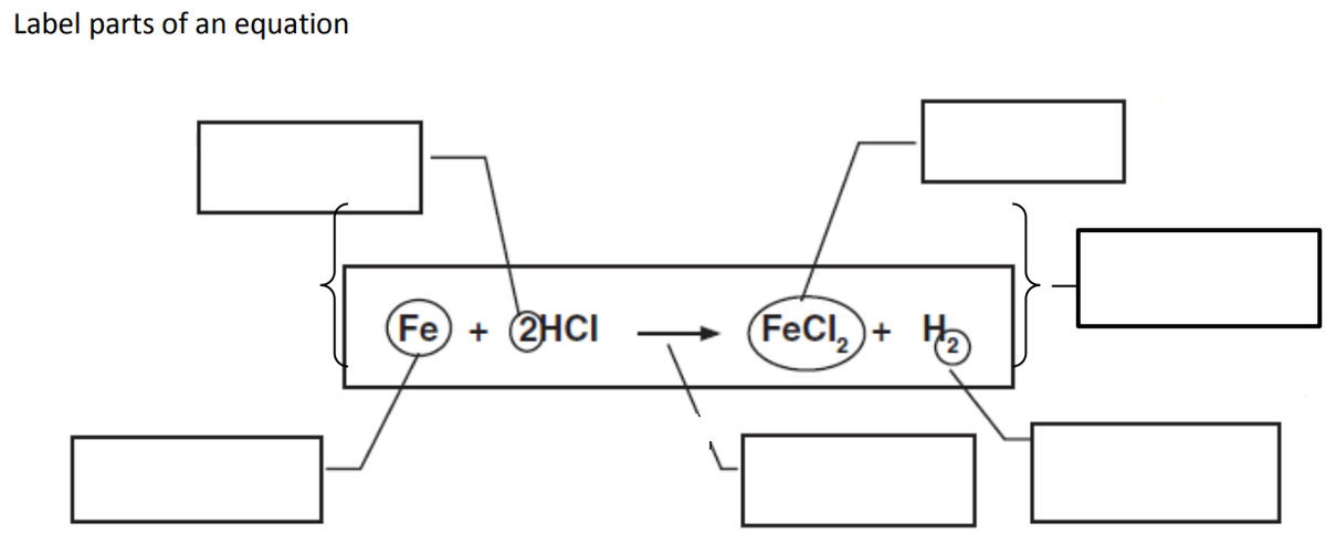 Label parts of an equation
Fe +
2HCI
FeCl,
+