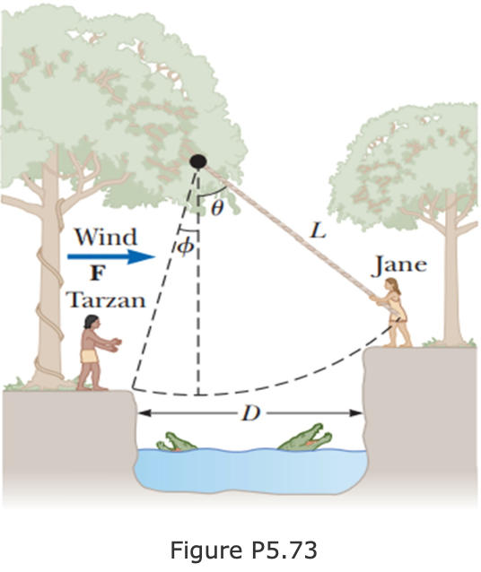 Wind
L
F
Jane
Tarzan
-D
Figure P5.73
