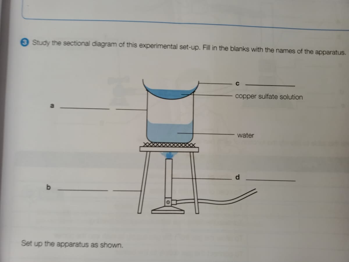 Study the sectional diagram of this experimental set-up. Fill in the blanks with the names of the apparatus.
Set up the apparatus as shown.
copper sulfate solution
water
d