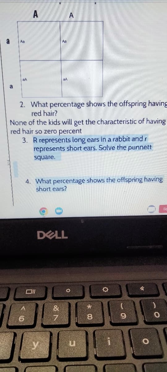 a
a
Aa
aA
A
6
2. What percentage shows the offspring having
red hair?
Aa
None of the kids will get the characteristic of having
red hair so zero percent
3. R represents long ears in a rabbit and r
represents short ears. Solve the punnett
square.
A
4. What percentage shows the offspring having
short ears?
DELL
&
N
O
u
*
8
00
O
9
✓