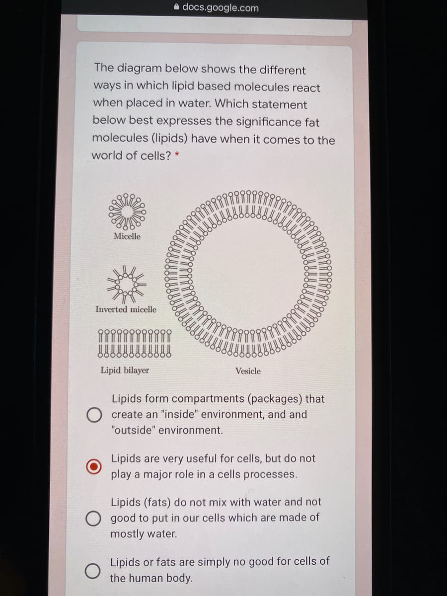 a docs.google.com
The diagram below shows the different
ways in which lipid based molecules react
when placed in water. Which statement
below best expresses the significance fat
molecules (lipids) have when it comes to the
world of cells? *
Micelle
Inverted micelle
Lipid bilayer
Vesicle
Lipids form compartments (packages) that
O create an "inside" environment, and and
"outside" environment.
Lipids are very useful for cells, but do not
play a major role in a cells processes.
Lipids (fats) do not mix with water and not
O good to put in our cells which are made of
mostly water.
Lipids or fats are simply no good for cells of
the human body.
