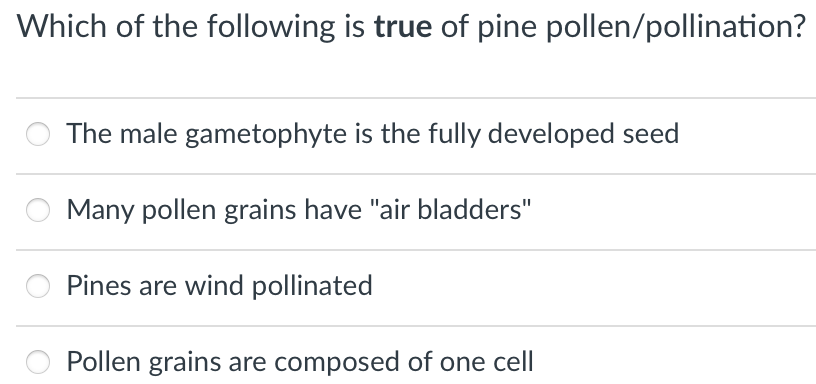Which of the following is true of pine pollen/pollination?
The male gametophyte is the fully developed seed
Many pollen grains have "air bladders"
Pines are wind pollinated
Pollen grains are composed of one cell
