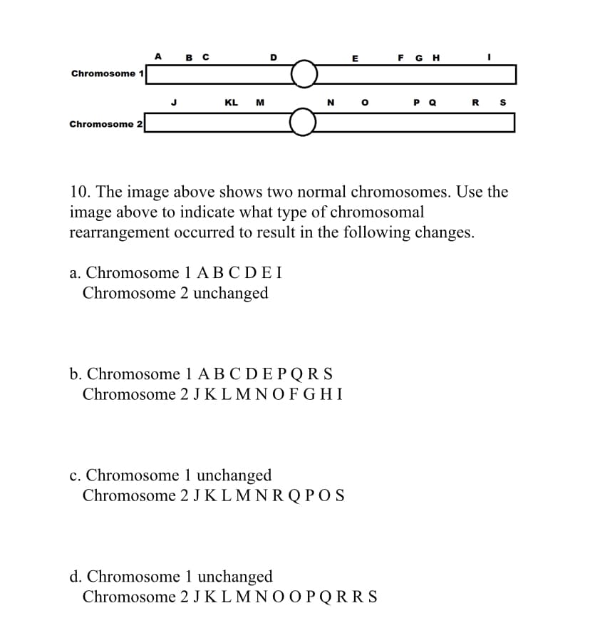 A B C
F G H
E
Chromosome 1
N
P Q
R S
KL M
Chromosome 2
10. The image above shows two normal chromosomes. Use the
image above to indicate what type of chromosomal
rearrangement occurred to result in the following changes.
a. Chromosome 1 ABCDEI
Chromosome 2 unchanged
b. Chromosome 1 A B C D E PQRS
Chromosome 2 JK LM NOFGHI
c. Chromosome 1 unchanged
Chromosome 2 JKL MNR Q POS
d. Chromosome 1 unchanged
Chromosome 2 JK L M NOOPQ RRS
