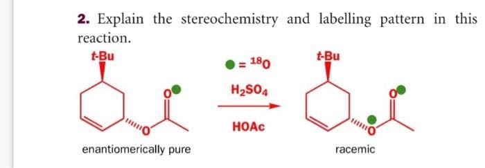 2. Explain the stereochemistry and labelling pattern in this
reaction.
t-Bu
enantiomerically pure
180
H₂SO4
HOAC
t-Bu
racemic