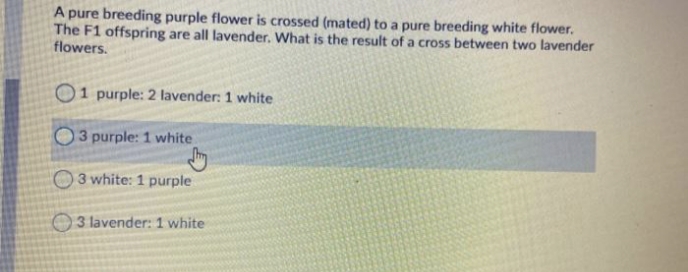 A pure breeding purple flower is crossed (mated) to a pure breeding white flower.
The F1 offspring are all lavender. What is the result of a cross between two lavender
flowers.
01 purple: 2 lavender: 1 white
13 purple: 1 white
3 white: 1 purple
3 lavender: 1 white