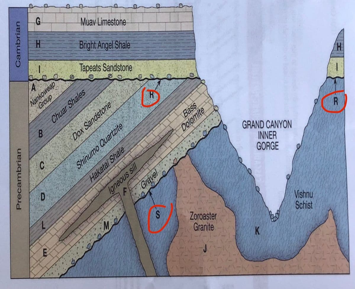 Muav Limestone
H.
Bright Angel Shale
Nankoweap
Group
A
Tapeats Sandstone
Chuar Shales
H.
Dox Sandstone
Bass
Dolomite
Shinumo Quartzite
GRAND CANYON
Hakatai Shale
INNER
GORGE
Gravel
Zoroaster
Granite
Vishnu
Schist
K.
Cambrian
ambrian
recan
Igneous sill
