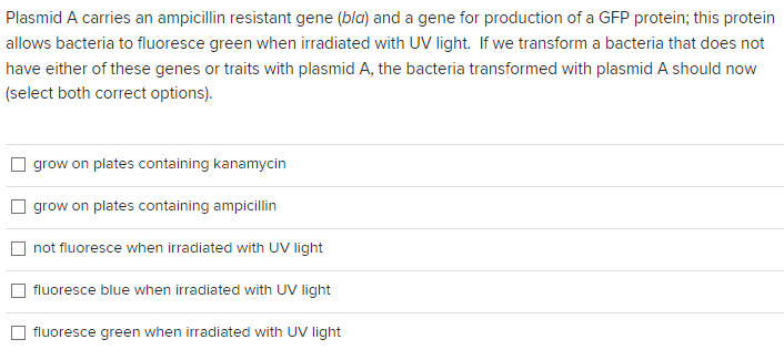Plasmid A carries an ampicillin resistant gene (bla) and a gene for production of a GFP protein; this protein
allows bacteria to fluoresce green when irradiated with UV light. If we transform a bacteria that does not
have either of these genes or traits with plasmid A, the bacteria transformed with plasmid A should now
(select both correct options).
grow on plates containing kanamycin
grow on plates containing ampicillin
not fluoresce when irradiated with UV light
fluoresce blue when irradiated with UV light
fluoresce green when irradiated with UV light