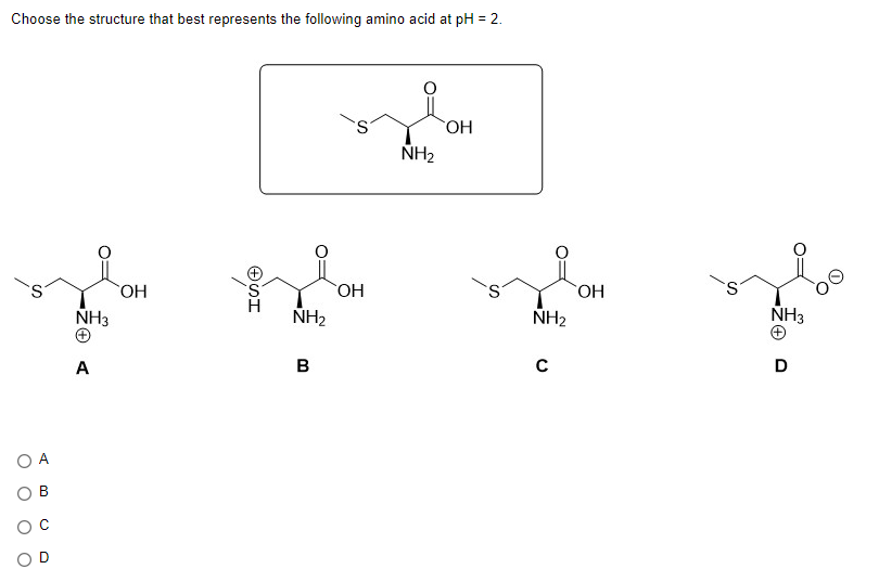 Choose the structure that best represents the following amino acid at pH = 2.
О А
O
NH3
A
ОН
ISO
NH₂
В
ОН
NH₂
ОН
NH₂
с
OH
NH3
А
D