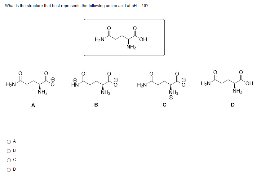 What is the structure that best represents the following amino acid at pH = 10?
wolzle
H₂N
NH₂
O A
A
HN
H₂N
B
NH₂
i
NH₂
OH
H₂N
C
NH3
H₂N
NH₂
D
OH