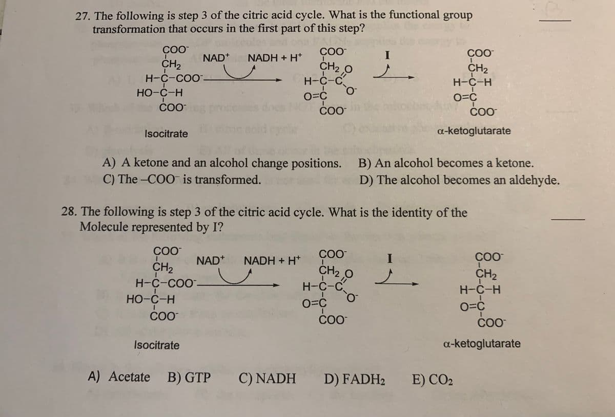 H-C-U-o
27. The following is step 3 of the citric acid cycle. What is the functional
transformation that occurs in the first part of this step?
group
COO
COO
NAD*
NADH + H*
CH2
CH2 0
H-C-C
CH2
H-C-H
H-C-COO-
Но-с-н
COO
COO
Isocitrate
a-ketoglutarate
A) A ketone and an alcohol change positions.
C) The -COO is transformed.
B) An alcohol becomes a ketone.
D) The alcohol becomes an aldehyde.
28. The following is step 3 of the citric acid cycle. What is the identity of the
Molecule represented by I?
COO
COO
NAD*
NADH + H*
I
COO
CH2
CH2 0
H-C-C
CH2
H-C-H
H-C-COO-
HO-C-H
COO
COO
Isocitrate
a-ketoglutarate
A) Acetate
B) GTP
C) NADH D) FADH2
E) CO2
