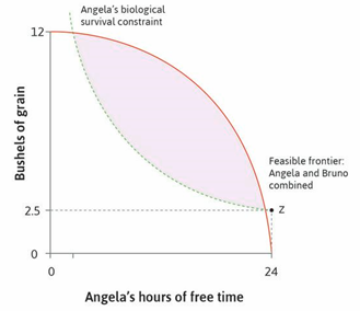 Angela's biological
survival constraint
12
Feasible frontier:
Angela and Bruno
combined
2.5
24
Angela's hours of free time
Bushels of grain
